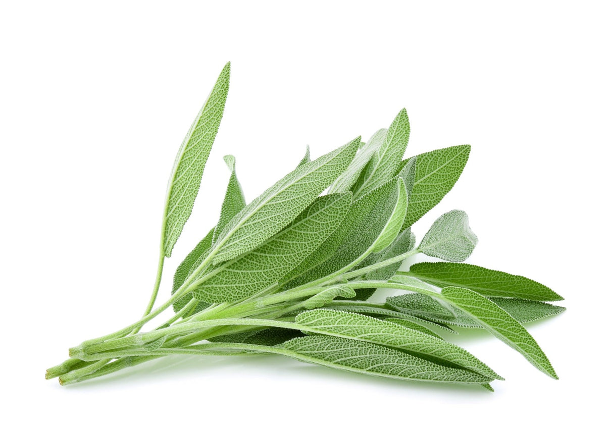 Sage (100g) – Wellington Fresh