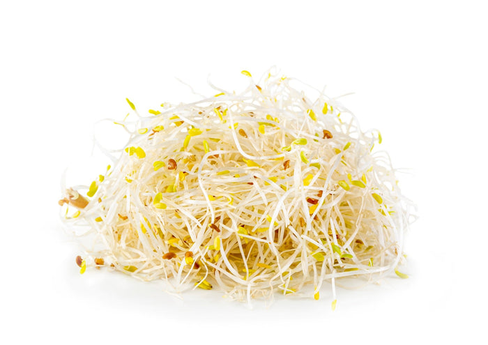Alfalfa Sprouts (100g)