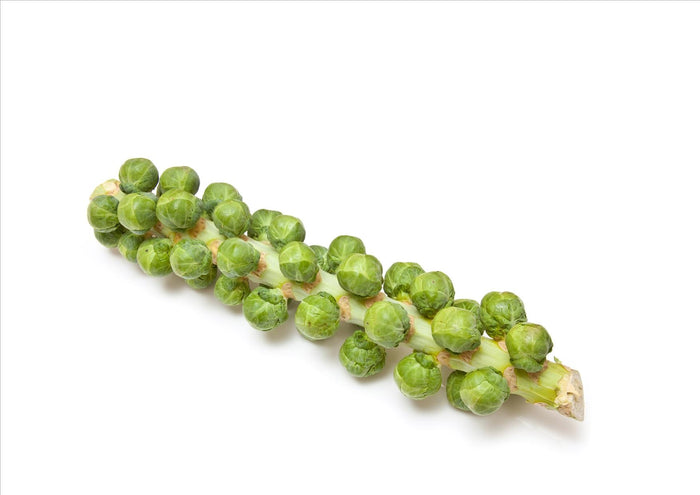 Brussels Sprouts on Stalk (Each)
