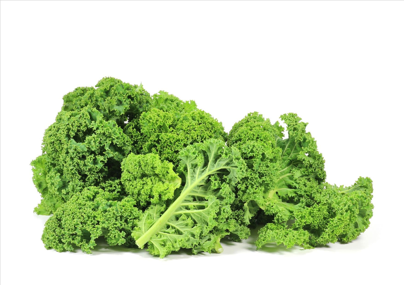 Curly Kale – Wellington Fresh