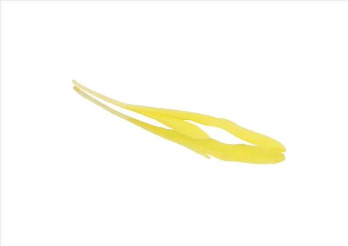 Sweetcorn Shoots (Pnt 30G)