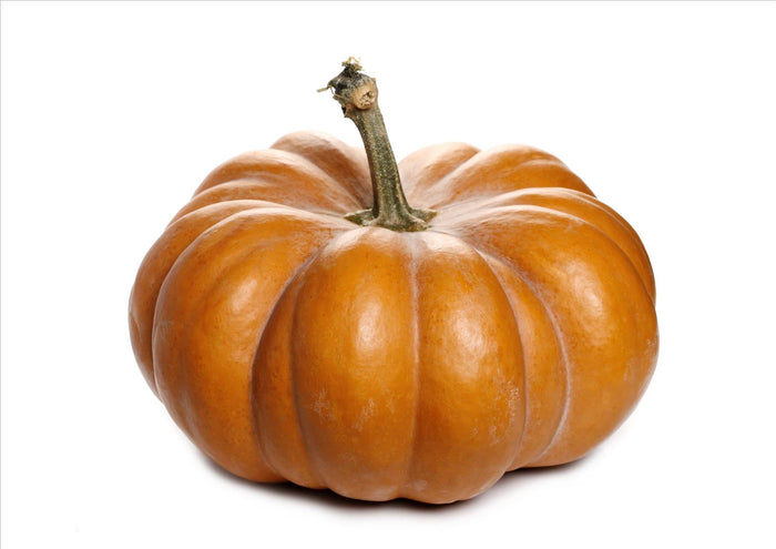 Pumpkin (Muscat Squash) (3-5Kg Each)