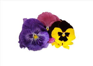 Freeze-Dried Edible Flowers (Pansies & Orchids)