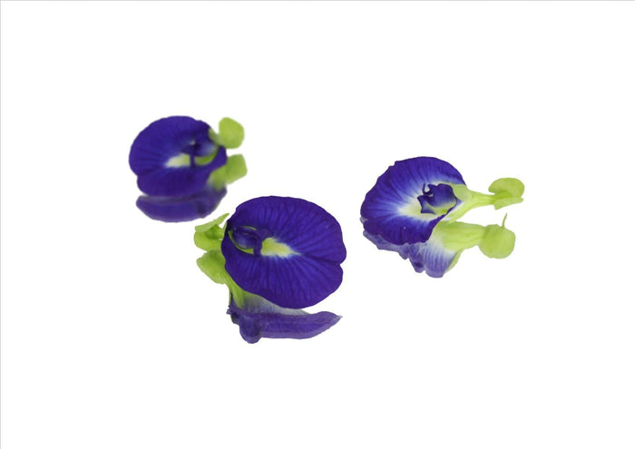 Flowers Edible Pea (9-12 Flowers)