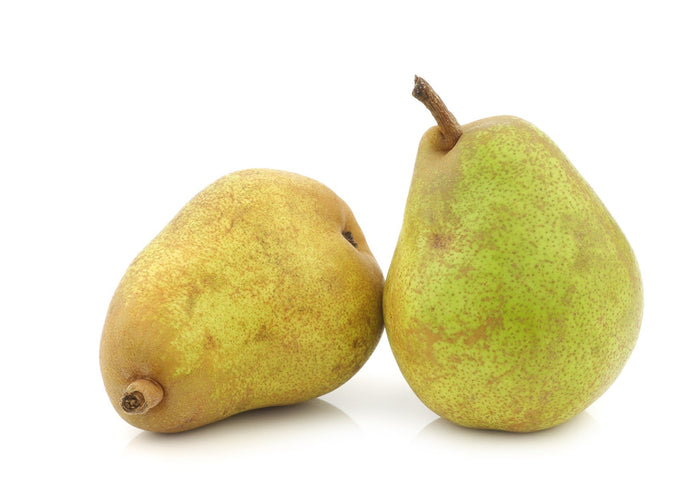 Pear Comice