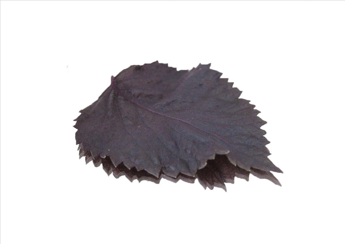 Red Shiso Leaf (Pnt 30G)