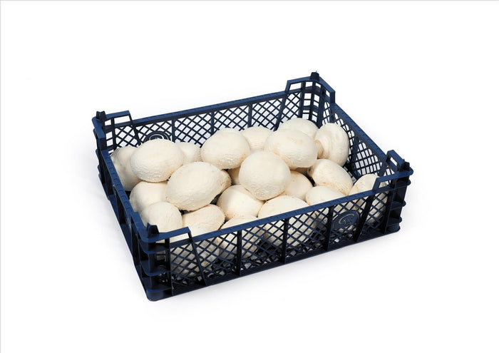 Mushrooms Ungraded (Class II) (2.27Kg Box)